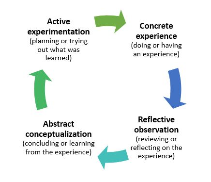 Kolb-stages