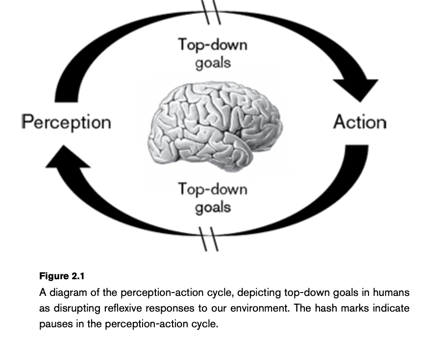 Meditation allows us to pause